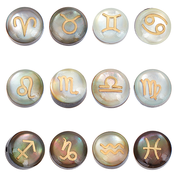 12 шт. 12 стили натуральные черные бусины-ракушки с золотой эмалью, плоские круглые с созвездием