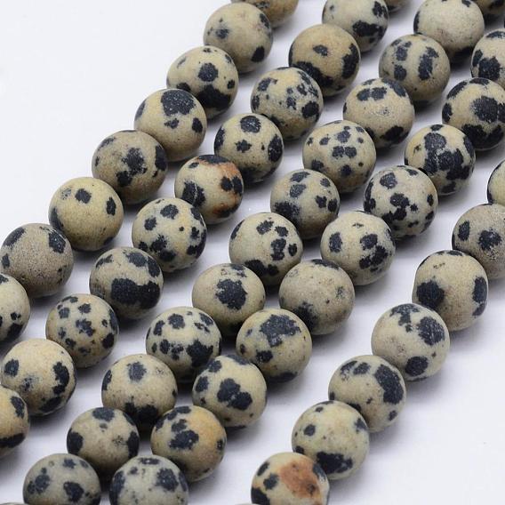 Natural Dalmatian Jasper Beads Strands, Frosted, Round