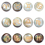 12 шт. 12 стили натуральные черные бусины-ракушки с золотой эмалью, плоские круглые с созвездием