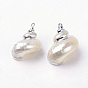 Electroplate Spiral Shell Pendants, with Iron Findings, Platinum, Conch, 24~37x18~28x13~23, Hole: 2mm