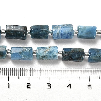 Natural Apatite Beads Strands, with Seed Beads, Faceted, Column