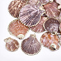 Electroplate Sea Shell Pendants, with Iron Findings, Light Gold