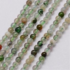 Natural Moss Agate Bead Strands, Round