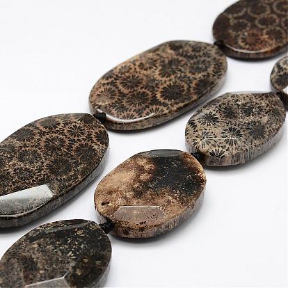 Natural Fossil Coral Beads Strands, Dyed, Oval