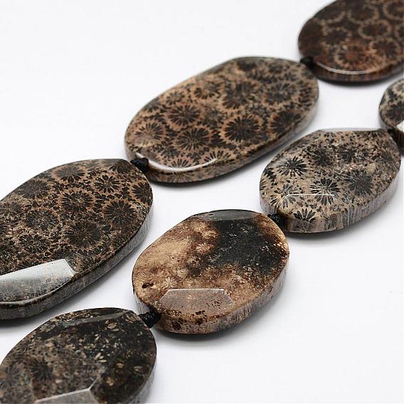 Natural Fossil Coral Beads Strands, Dyed, Oval