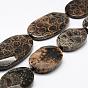 Natural Fossil Coral Beads Strands, Dyed, Oval