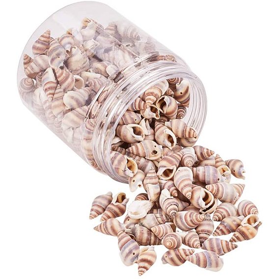 Spiral Shell Charms/Pendants