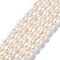 Natural Cultured Freshwater Pearl Beads Strands, Two Side Polished, Grade 5A