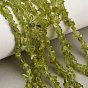 Natural Peridot Beads Strands, Chip