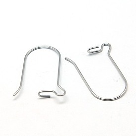 316 Surgical Stainless Steel Hook Earrings