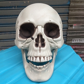 Halloween Theme Display Decoration, Resin Skull Statue