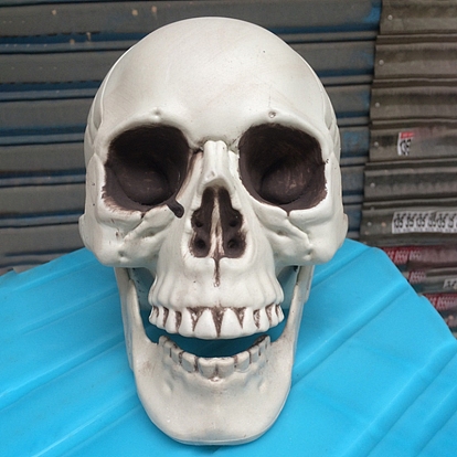 Décoration d'affichage sur le thème d'halloween, statue de crâne en résine