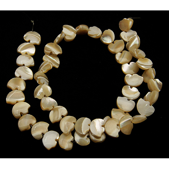 Sea Shell Beads, Bear, 12x8x4mm, Hole: 1mm