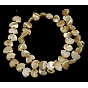 Sea Shell Beads, Bear, 12x8x4mm, Hole: 1mm