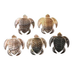 Оболочки губ натуральный черный подвески, прелести морской черепахи