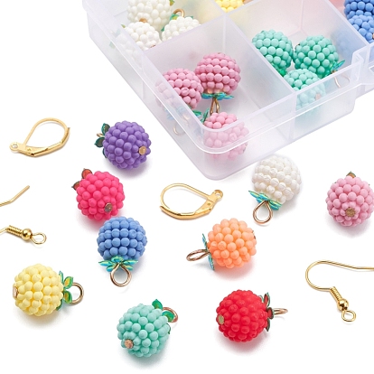China Factory DIY Berry Drop Earring Making Kit, Including Rubberized Style  ABS Plastic Pendants, Iron Leverback Earring Findings & Earring Hooks  Pendants: 36pcs/box in bulk online 