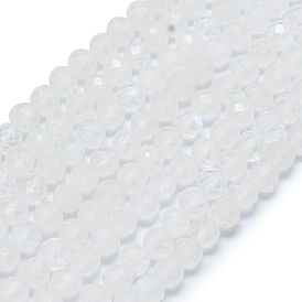 Natural Rainbow Moonstone Beads Strands, Faceted, Round
