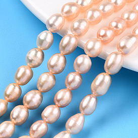 Natural Cultured Freshwater Pearl Beads Strands, Rice