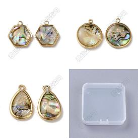 12pcs 3 styles pendentifs en résine de coquillage paua naturel, avec les accessoires en laiton, Breloques hexagonales, rondes plates et en forme de larme
