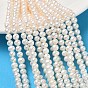 Natural Cultured Freshwater Pearl Beads Strands, Grade 4A, Potato