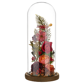 Стеклянный купол арки, декоративная витрина, колокол баночка террариум с деревянной основой