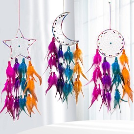 Iron Pendant Decoration, Woven Net/Web with Colorful Feather for Home Hanging Decorations