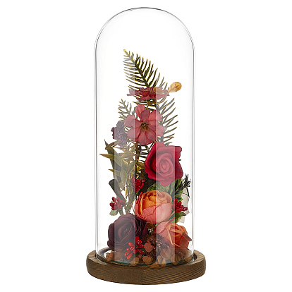 Стеклянный купол арки, декоративная витрина, колокол баночка террариум с деревянной основой