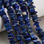 Natural Lapis Lazuli Beads Strands, Chip