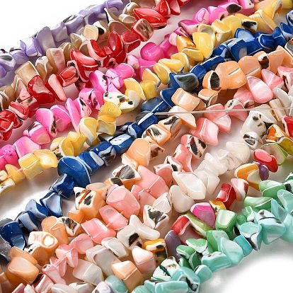 Натуральная оболочка из трохидных оболочек, окрашенные, самородки