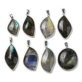 Natural Labradorite Pendants, Mixed Teardrop Charms with Platinum Plated Brass Frame and Iron Snap on Bails