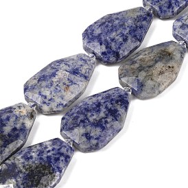 Natural Blue Spot Jasper Beads Strands, Faceted Teardrop