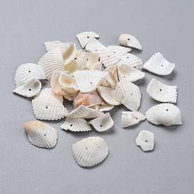 Natural Shell Beads, Shell Shards, Nuggets
