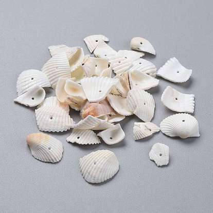 Natural Shell Beads, Shell Shards, Nuggets