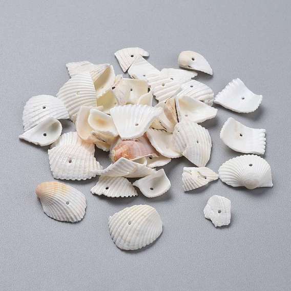 Natural Shell Beads, Shell Shards, Nuggets