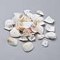 Natural Shell Beads, Shell Shards, Nuggets