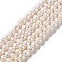 Natural Cultured Freshwater Pearl Beads Strands, Potato, Grade A+