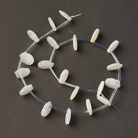 Perlas de concha de nácar blanco natural, superior perforado, cáscara