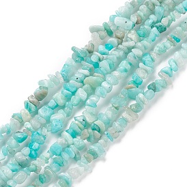 Puces naturels exotiques amazonite perles brins