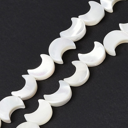Natural Trochid Shell/Trochus Shell Beads Strands, Crescent Moon, Bleached