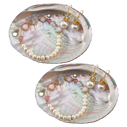 Natural Abalone Shell Display Decorations, Home Decorations, Shell Shape