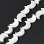 Natural Trochid Shell/Trochus Shell Beads Strands, Crescent Moon, Bleached