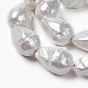 Shell Pearl Beads Strands, Teardrop