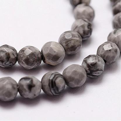 Natural Map Stone/Picasso Stone/Picasso Jasper Beads Strands, Faceted, Round