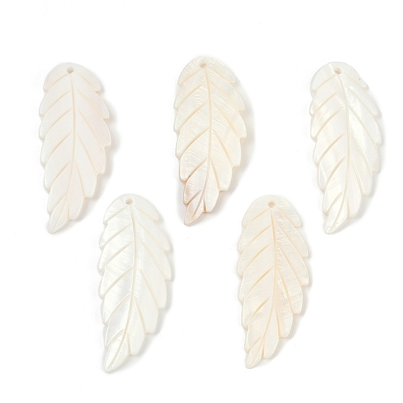 Естественных пресноводных оболочки большие кулоны, лист прелести