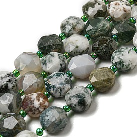 Natural Tree Agate Beads Strands, Faceted Hexagonal Cut, Flat Round, with Seed Beads