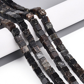 Natural Biotite Beads Strands, Cube