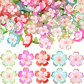 50шт 5 цветные подвески из прозрачного акрила, со стеклянными бисеринами, цветок, золотой металл обвитыми