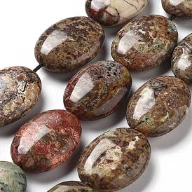 Natural Wealth Stone Beads Strands, Flat Oval