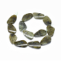 Natural Labradorite Beads Strands, Drop