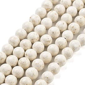 Perles naturelles fossiles brins, ronde